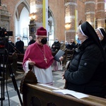 Rozpoczęcie procesu beatyfikacyjnego matki Franciszki Werner