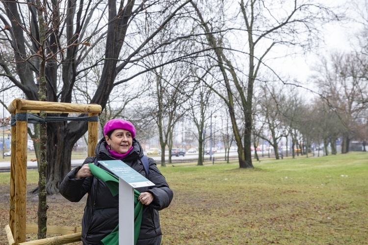 Drzewa powstańców warszawskich