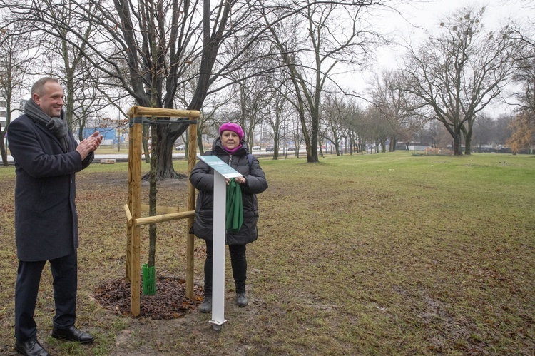 Drzewa powstańców warszawskich