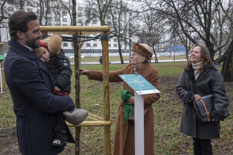 Drzewa powstańców warszawskich