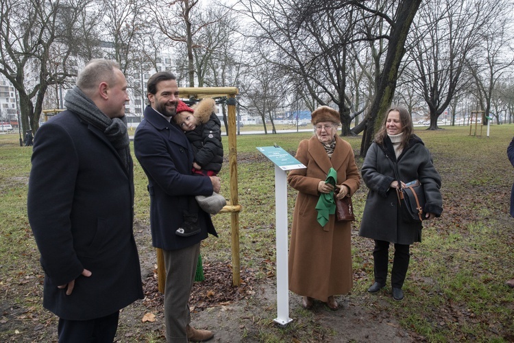 Drzewa powstańców warszawskich