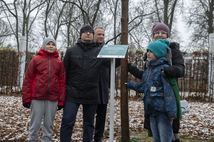 Drzewa powstańców warszawskich