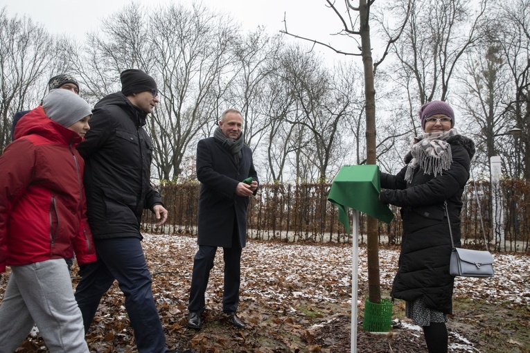 Drzewa powstańców warszawskich