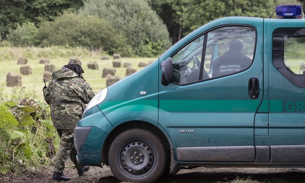 SG: atak ok. 100 migrantów na granicę w okolicach Białowieży