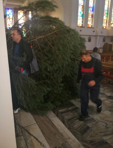 Adwentowe drzewko w Łąkcie