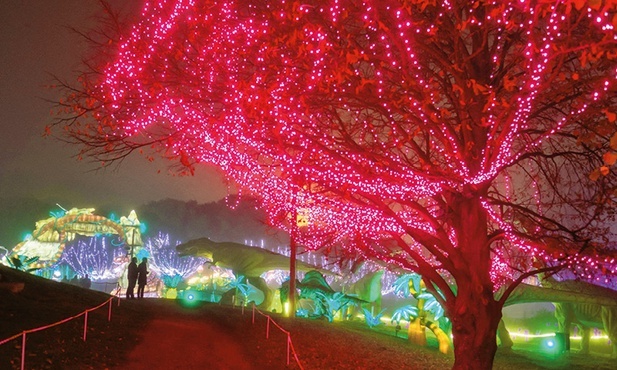 Trzy miesiące 80 chińskich twórców z Zigong w prowincji Sichuan instalowało oświetlenie na festiwal latarń w parku Ritouret.  30.11.2021  Blagnac, Francja
