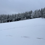 Dobre Rozeznanie Powołania - grudzień