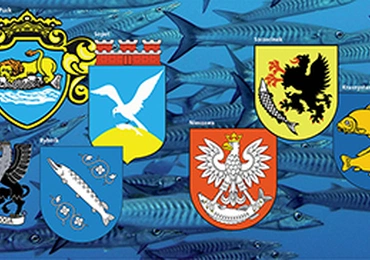 Dwa srebrne  śledzie i rybozając