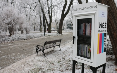 Dwie takie biblioteczki stanęły w parku im. Tadeusza Kościuszki.