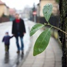 – Kiedy patrzę na te maluchy z sierocińców, wiem, że nie nasycą ich żadne prezenty, bo one potrzebują bliskości, przytulenia, zainteresowania, podania dłoni – mówi pan Piotr.