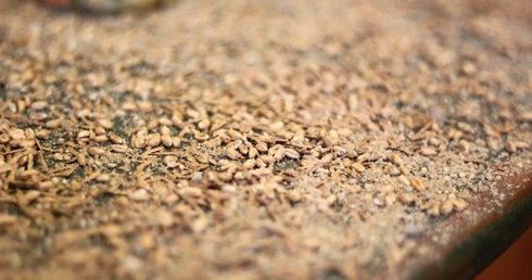 Stajenka między Nazaretem a Galileą