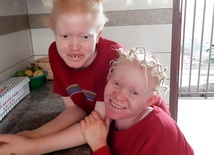 Żagiel dla małych albinosów
