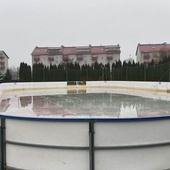 Sandomierz, Tarnobrzeg. Białe orliki działają