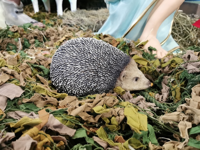 Szopka w Kamionce Wielkiej