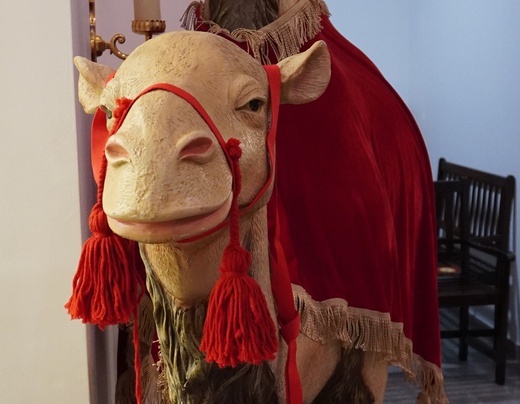 Franciszkańscy męczennicy w Brzegu Dolnym