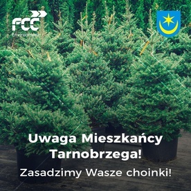 Tarnobrzeg. Choinkowa Zagroda