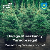 Tarnobrzeg. Choinkowa Zagroda