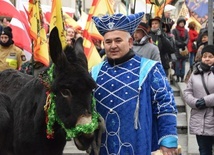 Królowie w Świdnicy znów będą szli z osiołkami z ośrodka onoterapii z Lubachowa. 