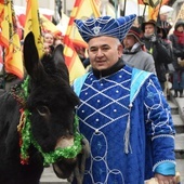 Królowie w Świdnicy znów będą szli z osiołkami z ośrodka onoterapii z Lubachowa. 