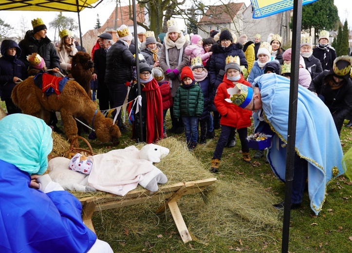 Orszak Trzech Króli w Mrozowie. Z alpakami, owcami i wieloma pokusami