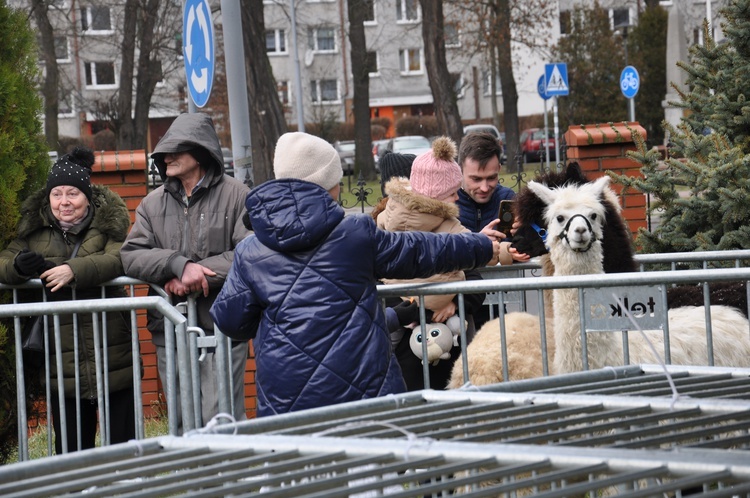 Orszak Trzech Króli 2022 w Oleśnicy