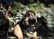 Gdy w betlejemskiej grocie rodzi się Chrystus, obok toczy się zwyczajne życie.