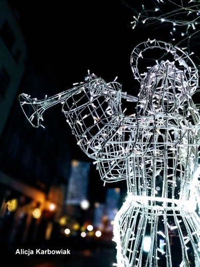 Wyróżnione prace w konkursie "Świątecznie w Świdnicy"