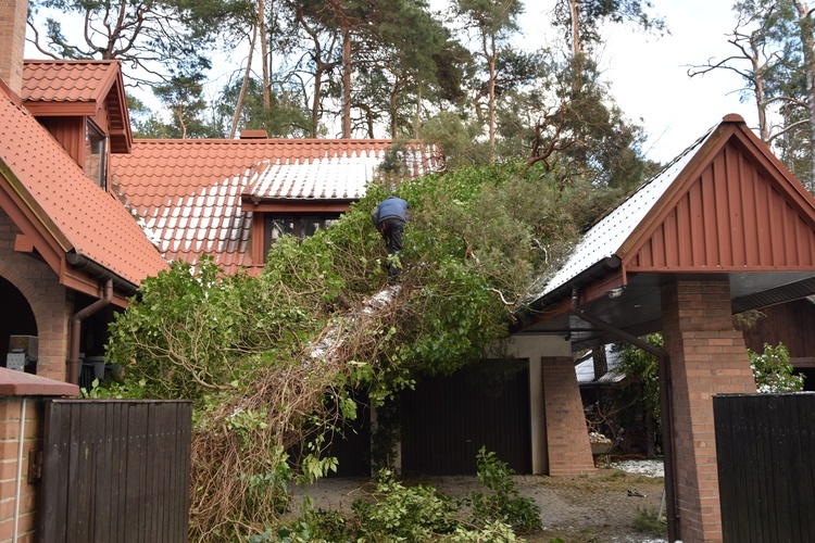 Niszczycielska burza śnieżna 