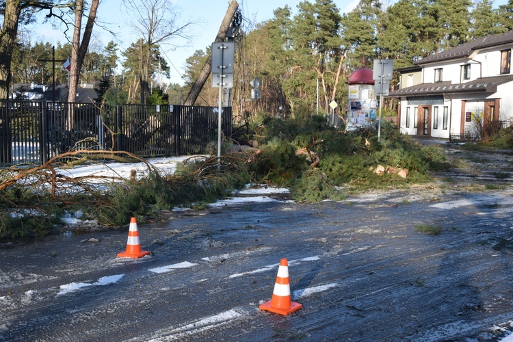 Nawałnica w Międzyborowie