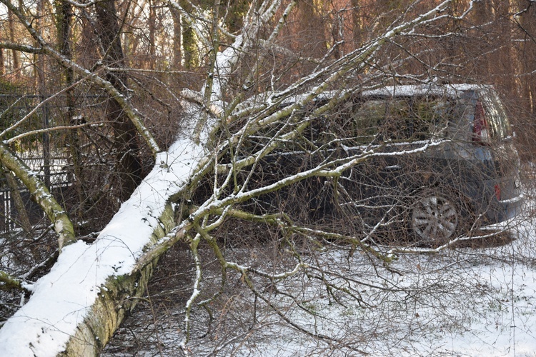 Nawałnica w Międzyborowie