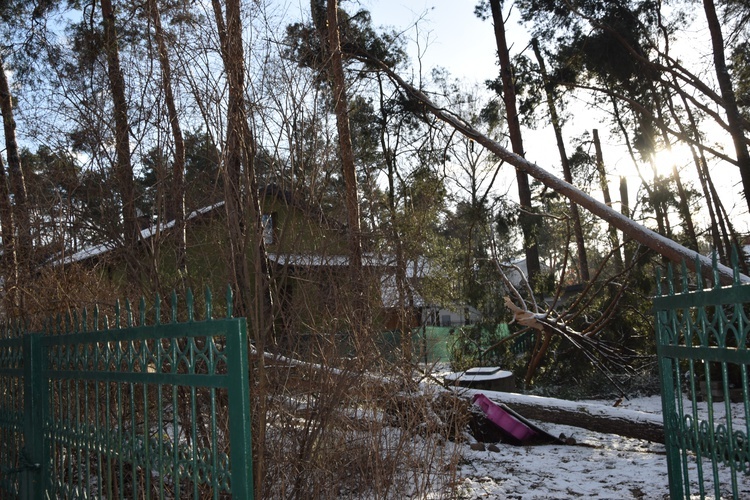 Nawałnica w Międzyborowie