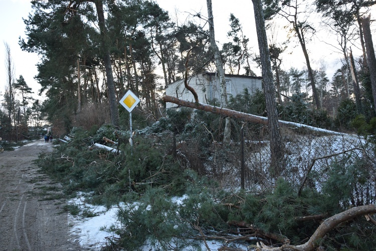 Nawałnica w Międzyborowie