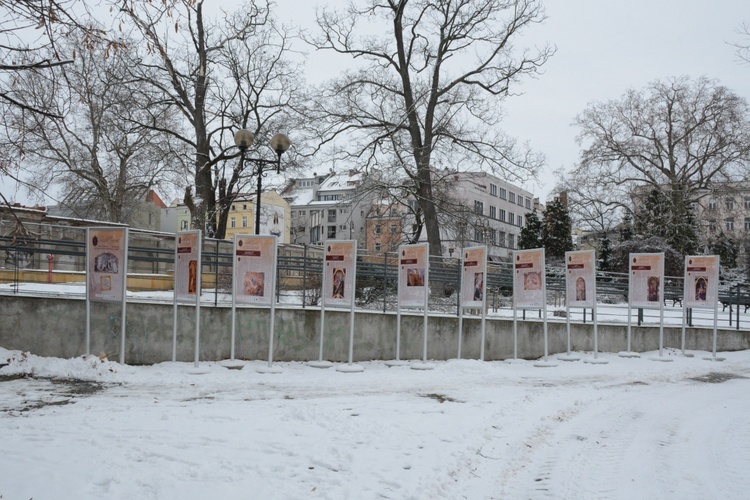 "Śląski Tiepolo" przed gmachem MBP w Opolu