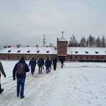 Zalasowanie w Auschwitz