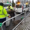 Katowice. Podsumowanie działań po weekendowych wichurach