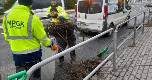 Katowice. Podsumowanie działań po weekendowych wichurach