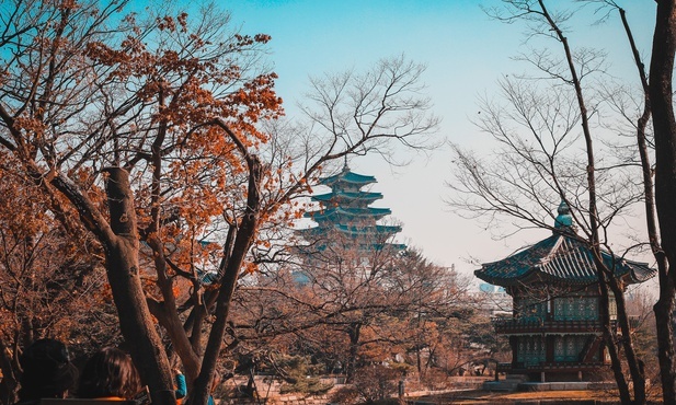 Koreańscy katolicy hojnie pomagają potrzebującym na świecie