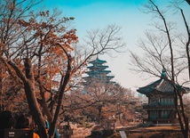 Koreańscy katolicy hojnie pomagają potrzebującym na świecie