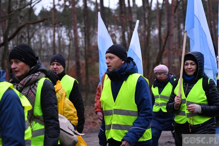 Pielgrzymka z Międzyrzecza do Rokitna