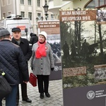 Zielona Góra. Wystawa o zwycięskim Powstaniu Wielkopolskim