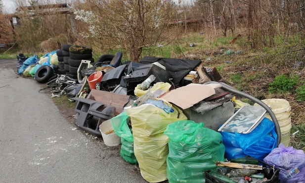 Katowice. Biegi, żagle i pomysły dla lokalnej społeczności