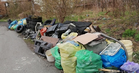 Katowice. Biegi, żagle i pomysły dla lokalnej społeczności