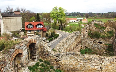 ▲	Fundacja rozpoczęła zbiórkę, by za sprawą projektu „Klasztor Dusz” ocalić zabytek od zniszczenia.
