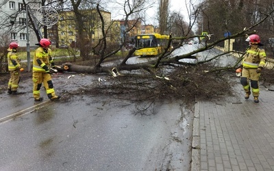 Śląskie. 1313 interwencji w związku z silnym wiatrem 