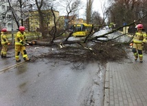 Śląskie. 1313 interwencji w związku z silnym wiatrem 