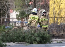 Premier: Przez Polskę przechodzi orkan, służby działają, zostańmy w domach