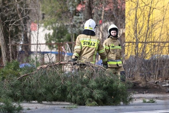 Premier: Przez Polskę przechodzi orkan, służby działają, zostańmy w domach