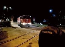 Na miejscu pracowały wszystkie służby ratownicze, w tym specjalistyczne grupy z psami szkolonymi  do odnajdywania ludzi.