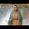 Pokaz specjalny filmu "Cud Guadalupe" jeszcze przed premierą