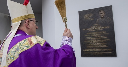 Pamięci przyjaciela ludzi 
